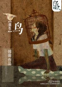 重生之鳥小說封面